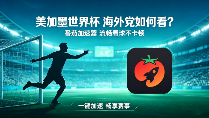 在新加坡看世界杯直播当前IP受限制教程